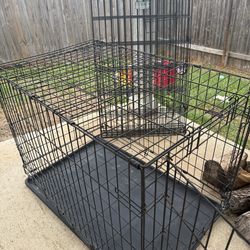Kennels