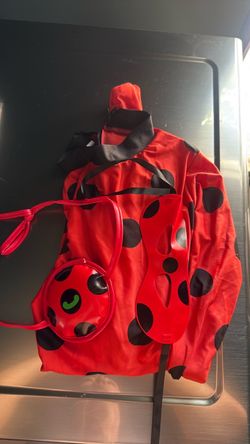 Miraculous Lady Bug