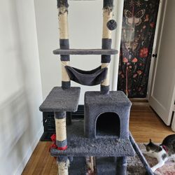 FREE Pre-Loved Cat Tree 