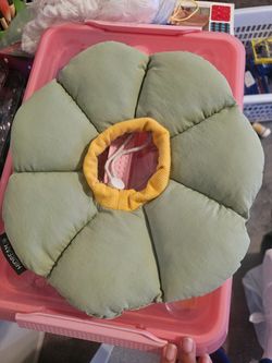 Flower Cone for Pet
