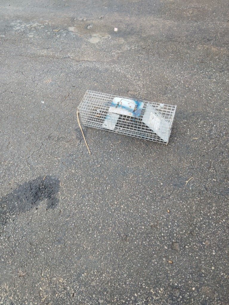 Cage Trap