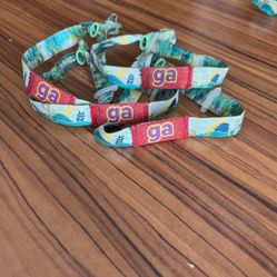 🌞 Day Wristbands 