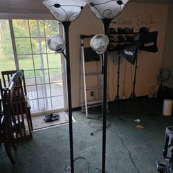 6ft Tall Stand Lights