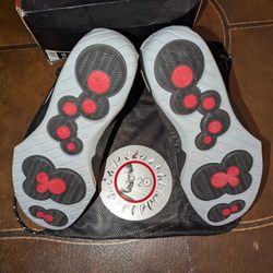 Air Jordan 20 XX Size 13 Dead Stock 
