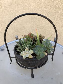 Metal Plant Holder and Succulent Arrangement
