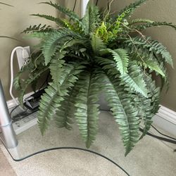 Fake Plant 