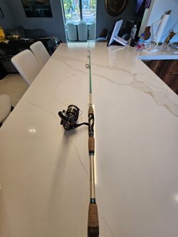 Fishing Reel And Fishing Rod