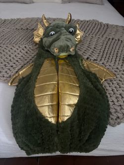Dragon Costume