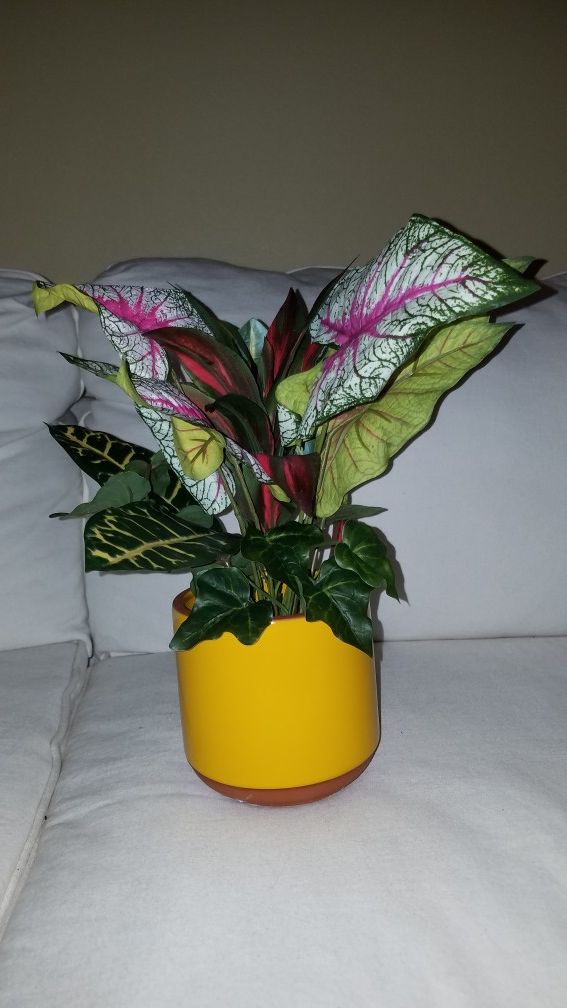 Plant Arrangement in Yellow Pot Vase