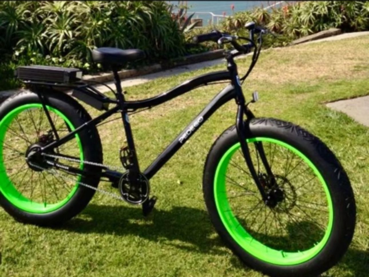 E-bike Pedego Fat Tire