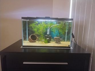 10 Gallon Aquarium Tank With Accessories