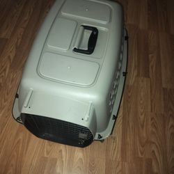 Dog Kennel 