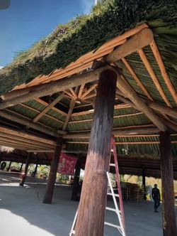 Tiki hut
