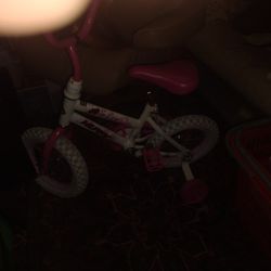 Little Girls Bicycle 