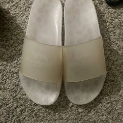 coach pool slides