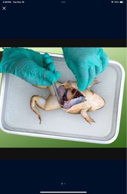 Dissecting tools