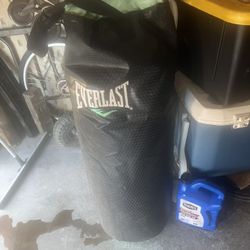 Everlast Punching Bag