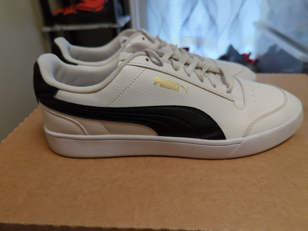 Pumas
