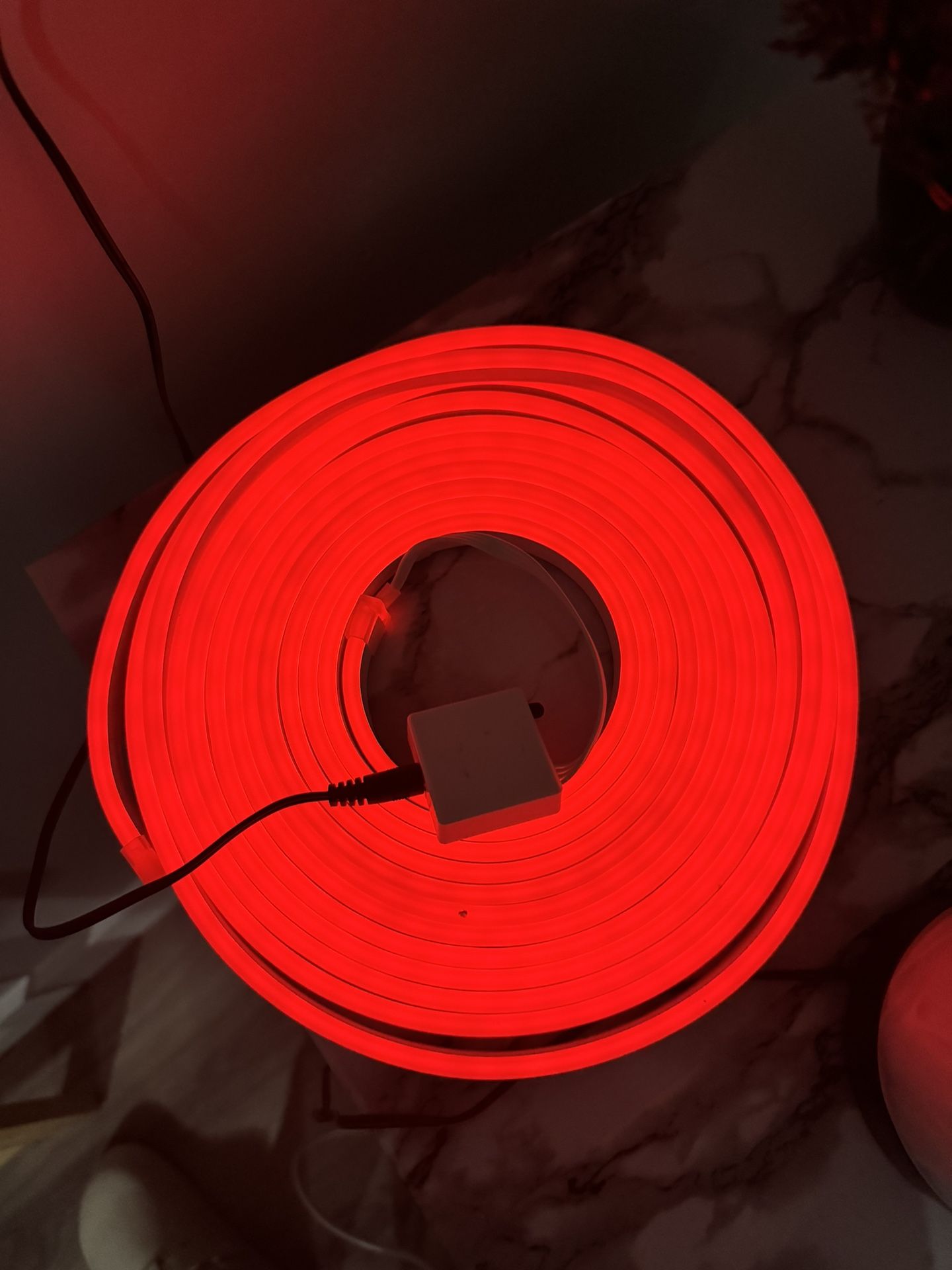 Neon Rope Lights (20ft)