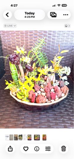 Beautiful succulent arrangement with various( fake flowers 💐) real succulents plants in a decorative bowl.