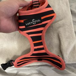 Small Dog Harness