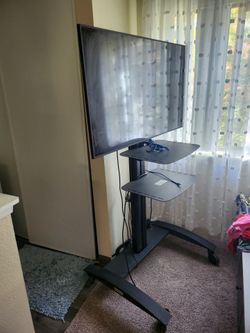 Samsung 49" Commercial Display + Peerless-AV SR575M TV Cart