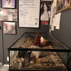 150 Gallon Shallow Tank 