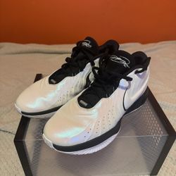 Men’s Basketball Shoes (LeBron 21)