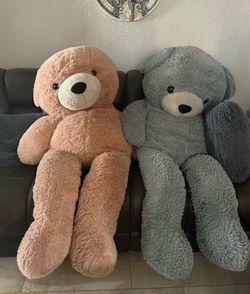 Bears