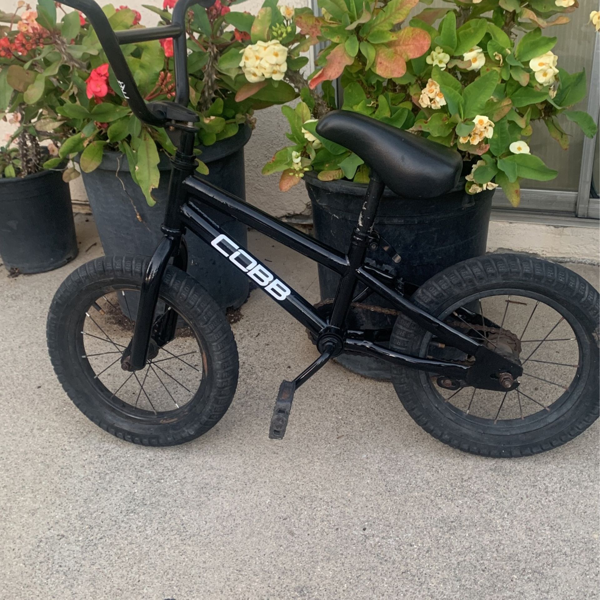 Mini Bike
