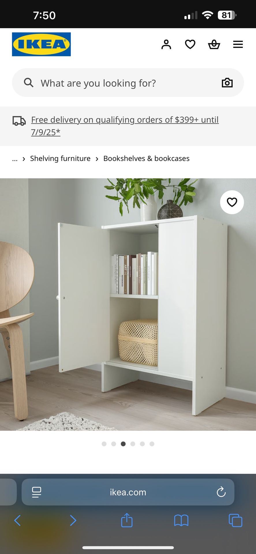 Small Shelf With Door