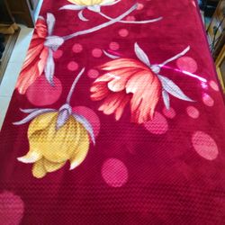 Queen Plush Korean Style Reversible Mink Blanket ~ Thick, Heavy, Soft, Warm