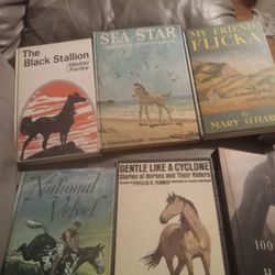 Horse books 