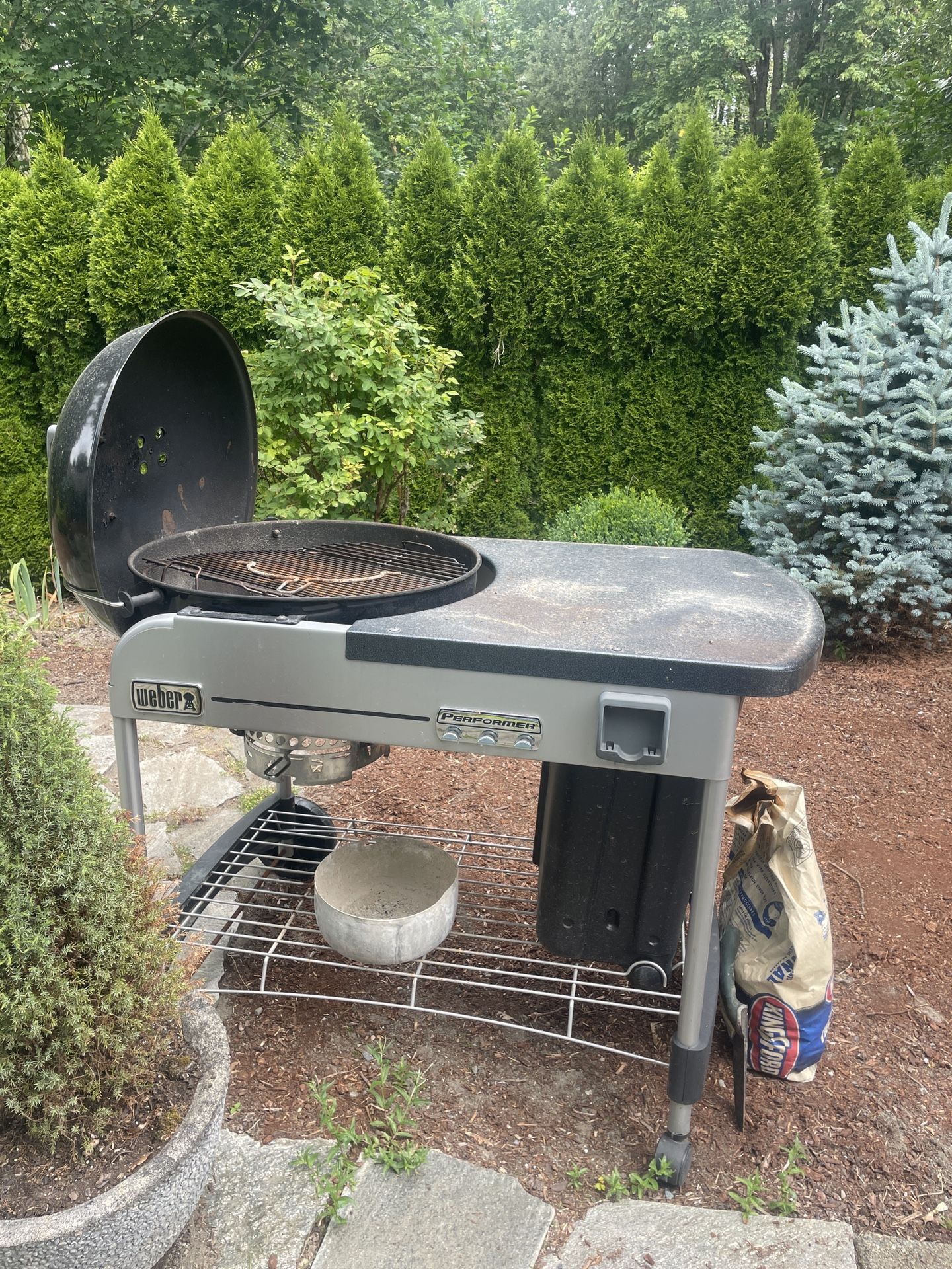 Weber Professional