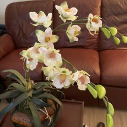Artificial Orchids 