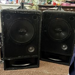 Two PA Speakers