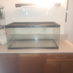 50gallon Reptile Tank