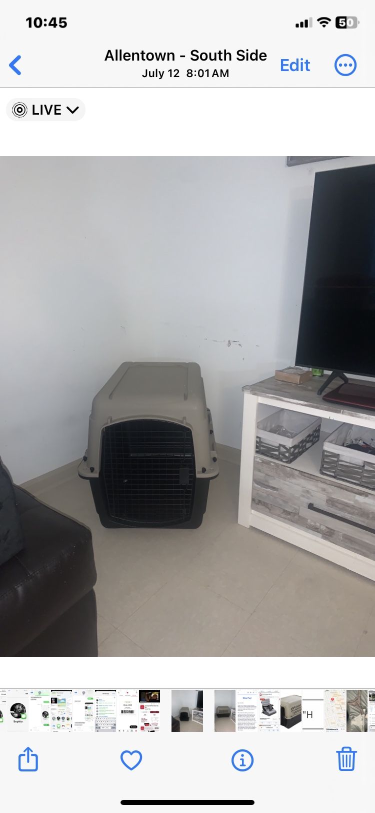 Dog Portable Kennel