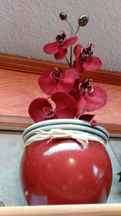 Red moth orchid and vase. Like new