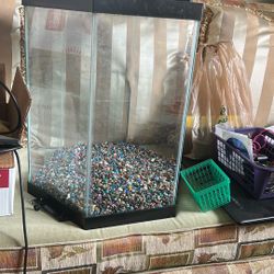 20 Gal Hexagon Aquarium
