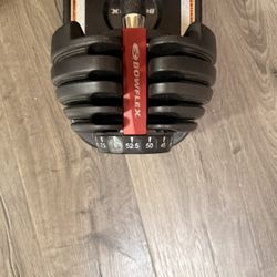Bowflex Dumbbells
