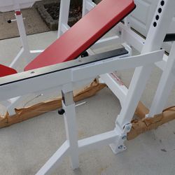 Fortis Fitness Commercial Incline Weight Bench