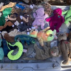 Beanie Babies and Furby 