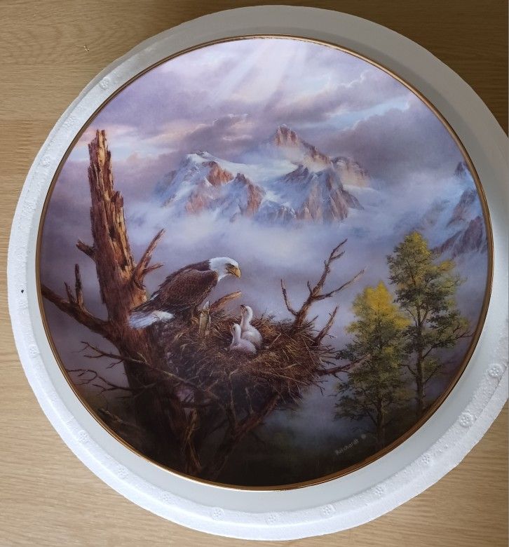 "PRIDE OF AMERICA" A NUMBERED COLLECTOR'S PLATE FOR THE DANBURY MINT * READ THE DESCRIPTION"