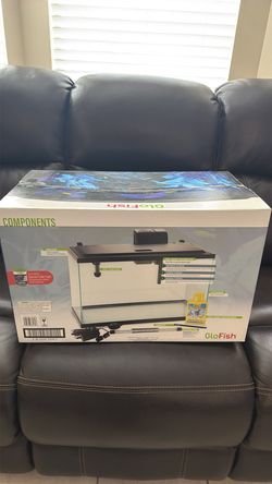 Glofish Tank New