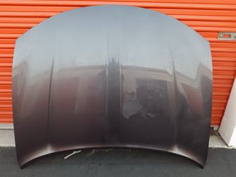 2015-2023 Dodge Charger Hood With Accessories OEM.