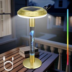 Solar and Electeic Rechargeable Table Lamp