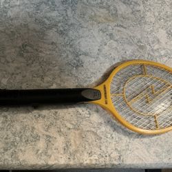 Electronic Fly and Insect Swatter
