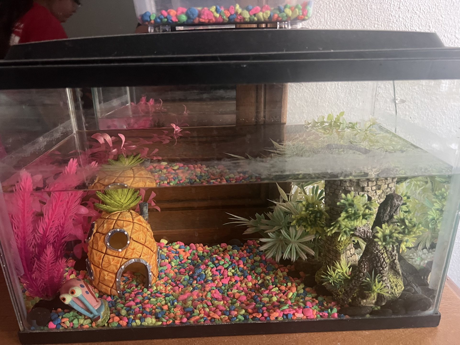 fish tank