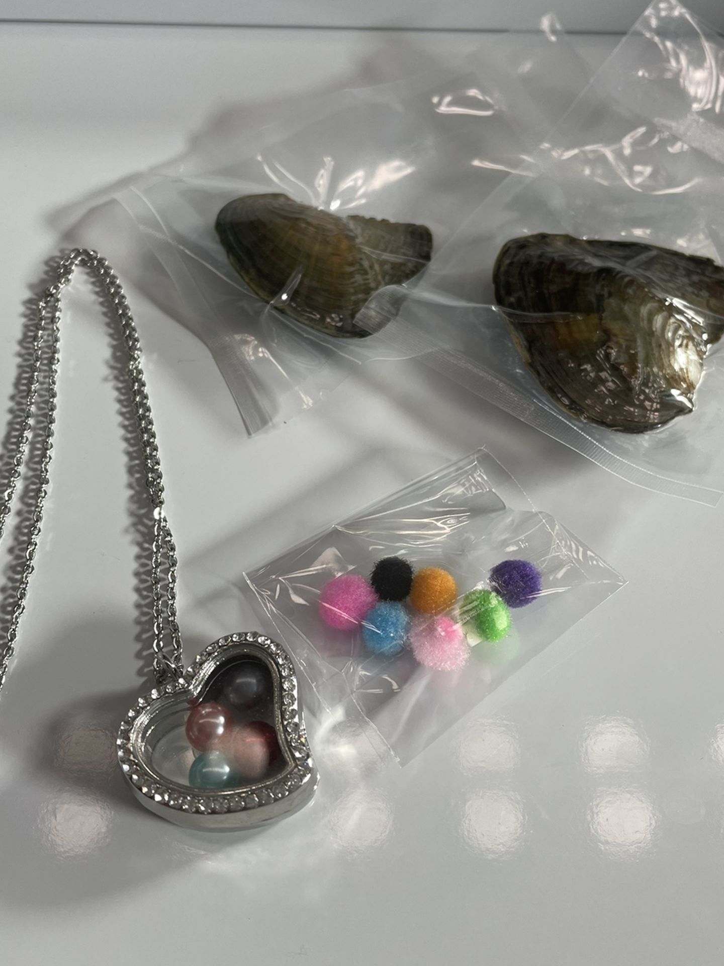 Stainless Steel Heart Locket Necklace